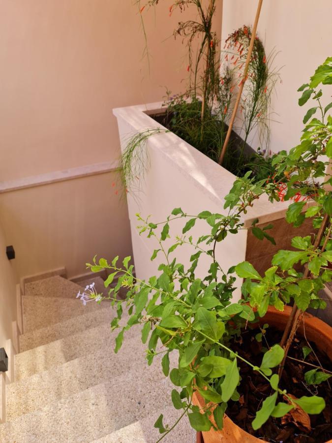 Selin The Stone House Villa Лимасол Екстериор снимка